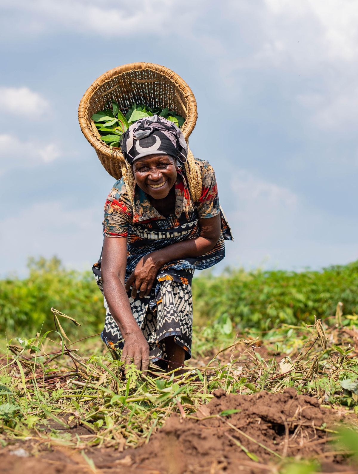 A farmer harvesting produce in the field